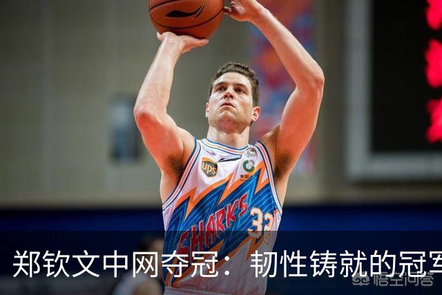 郑钦文中网夺冠：韧性铸就的冠军之路，超越分数的意义